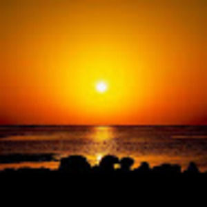 Meet your Posher, Avianna